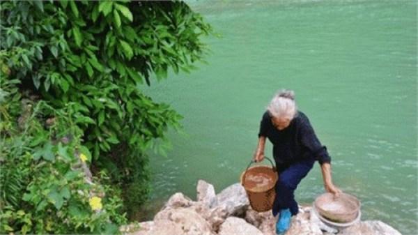 巴馬藤茶禁忌_巴馬養(yǎng)生藤茶_巴馬藤茶是什么植物