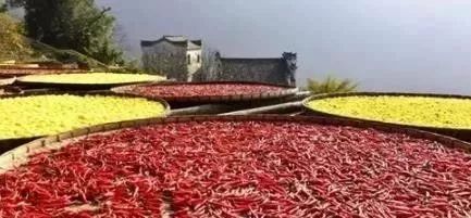 吉祥如意健身養(yǎng)生舞背向_吉祥如意養(yǎng)生舞教學(xué)_吉祥如意健身養(yǎng)生