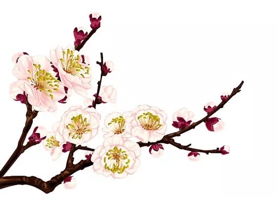 24節氣立夏養生_24節氣立夏養生_24節氣立夏養生