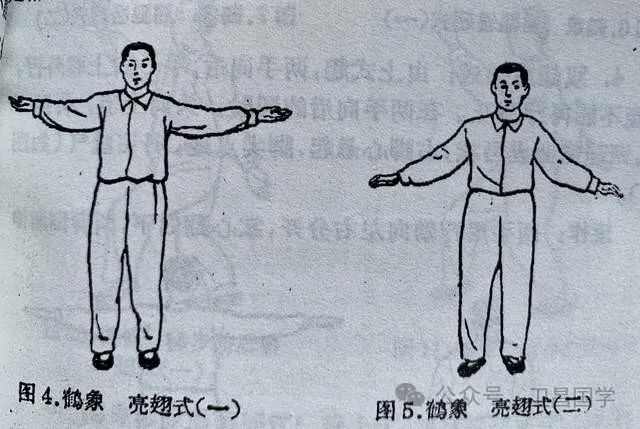 道家秘傳養生功法_《道家養生功》_道家養生功法集