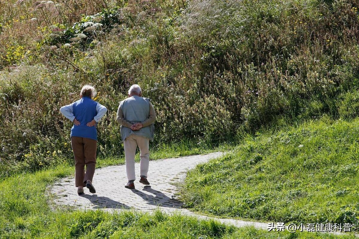 養(yǎng)生堅(jiān)果吃好還是吃好_養(yǎng)生吃什么堅(jiān)果好_吃堅(jiān)果養(yǎng)生嗎