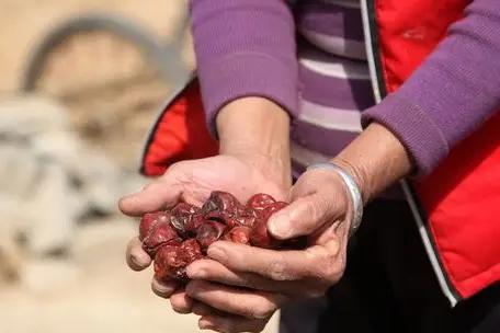老年人養生應注意什么_老年人養生意識_老人養生注意事項